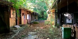 Florida Man Arrested Trying To Quarantine On Abandoned Disney Treasure Island, And That's What This Island Looks Like From The Inside