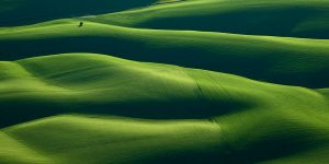 Photographer Mitch Rouse Captures Beautiful Patterns Of Farmland From Above