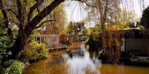The Tiny Island Housing London's Last 'Coronavirus-Free' Community