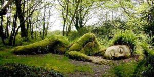 Incredible Living Sculpture In The Lost Gardens Of Heligan Changes Its Appearance With The Seasons