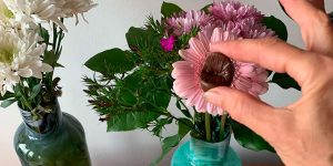 Edible Anus Company Makes Chocolate Buttholes, And People Are Actually Buying Them