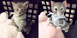 Dutch Illustrator Transforms Pets Into Adorable Disney Characters
