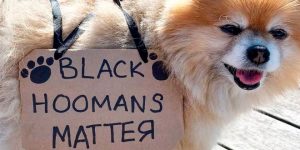 The Best Of Black Lives Matter Protest Signs