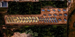 Lithuanian Bakery Created Giant Rye Installation In The Solar Power Plant