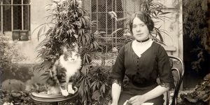 Lovely Vintage Photos Capture People With Their Cats In The Early 20th Century