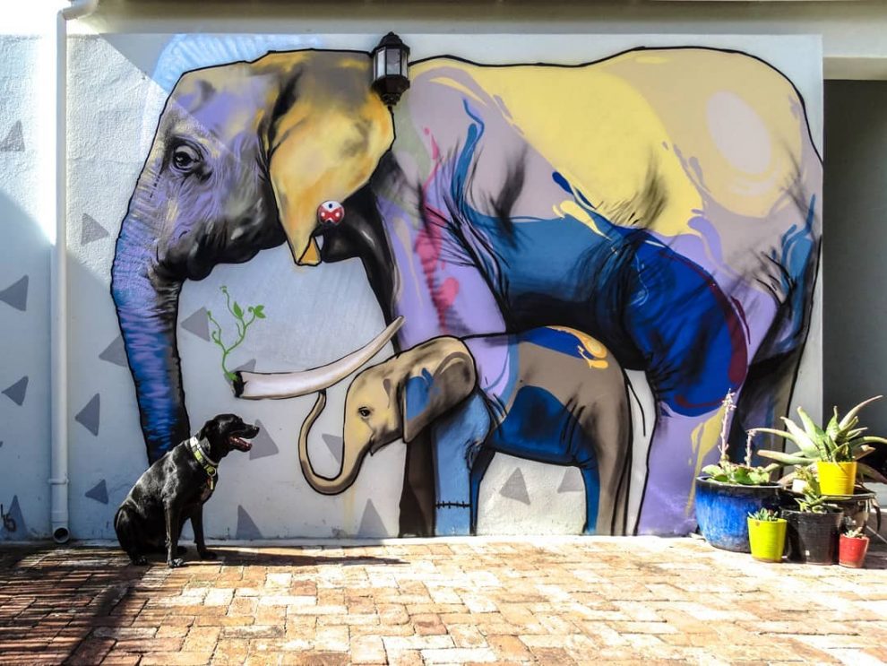Graffiti Artist Turns South African Towns Into Open-Air Galleries ...
