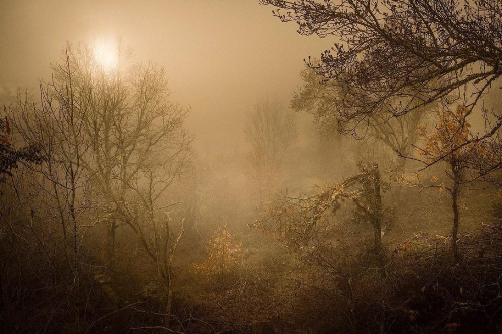 “Perfect Darkness”: Foggy Nights and Melancholy Landscapes in Cinematic ...