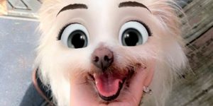 This New Snapchat Filter Makes Your Dog Look Like A Disney Character