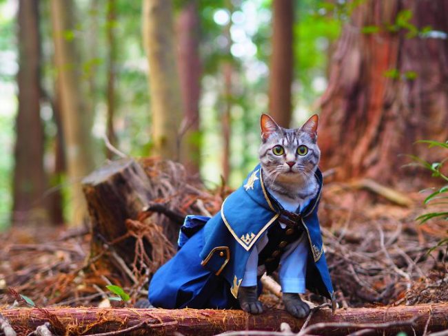 Japanese Artist Creates Epic Anime Costumes For His Cats » Design You ...