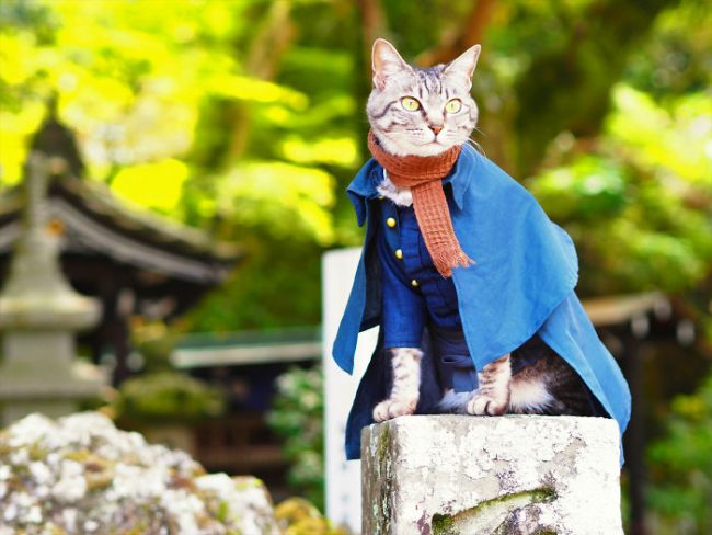 Japanese Artist Creates Epic Anime Costumes For His Cats » Design You ...