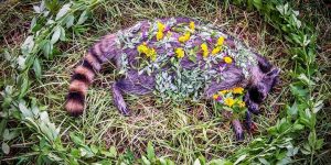 Whenever This Woman Comes Across A Dead Animal, She Creates A Beautiful Memorial For It And Here Are Most Mesmerizing Ones