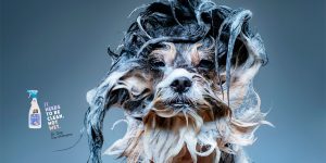 It Needs to Be Clean, Not Wet: Hilarious Dog Shampoo Ads