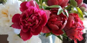 Ukrainian Artist Creates Realistic Flowers Out Of Cold Porcelain