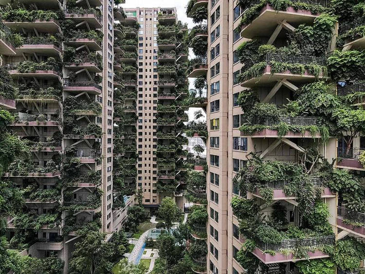 ‘Vertical Forest’ in Chinese Residential Complex Mosquito