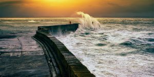 Incredible Snaps from The Winners of The Annual Sea View Photography Competition Capture the Wonders of The Ocean