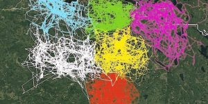 Unusual Maps People Shared On This Group That Might Change Your Perspective On Things