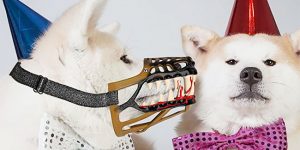 This Dog Muzzle Is Perfect To Scare The Hell Out Of Neighbors On Halloween