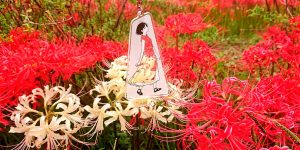 Japanese Illustrator’s Charming Key Chain Design Gives You a Travel Companion to Paint with Nature