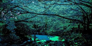 I Thought They Were Photos!: Japanese Artist’s Exquisite Work Earns Plaudits Online