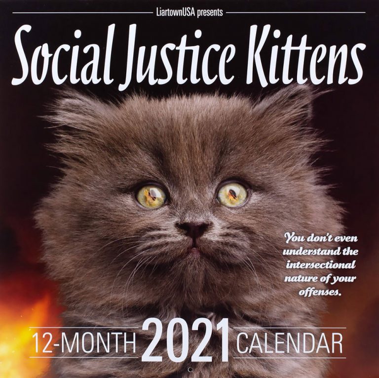 2021 Social Justice Kittens Calendar Is Here! » Design You Trust