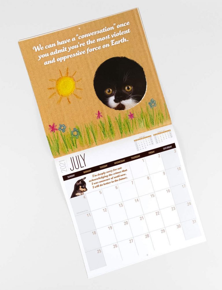 Social Justice Kittens Calendar 2025 