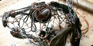 Artist Barbara Franc Creates Gorgeous Animal Sculptures