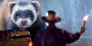Someone Replaced The Dinosaurs In Jurassic Park With Ferrets, And It’s The Remake You Didn’t Know You Wanted