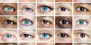 2021 Lavazza Calendar: The New Humanity