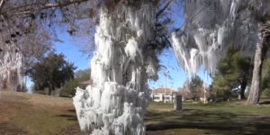 Sprinkler Creates A Frozen Wonderland On This Golf Course After Temperatures Suddenly Drop