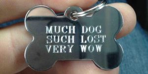 Dog Tags are Always Useful and Sometimes Hilarious