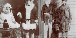 Artist Using Photoshop Technique to Manipulate Bizarre Christmas Photos With Her Beloved Dog