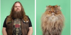 A Photographer Compares Portraits of Cats and Their Owners, and the Results Are Too Similar to Be Ignored