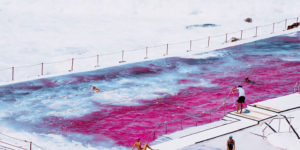 The Beautiful Winning Photos of 2020 Budapest International Foto Awards