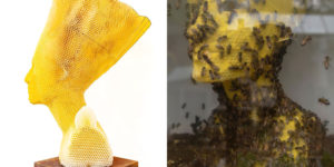 Made by Bees: Slovak Artist Uses Honeybees to Sculpt a Wax Bust of Nefertiti