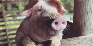Caldwell Arts Council’s Exposures Photography Competition Winner Announced