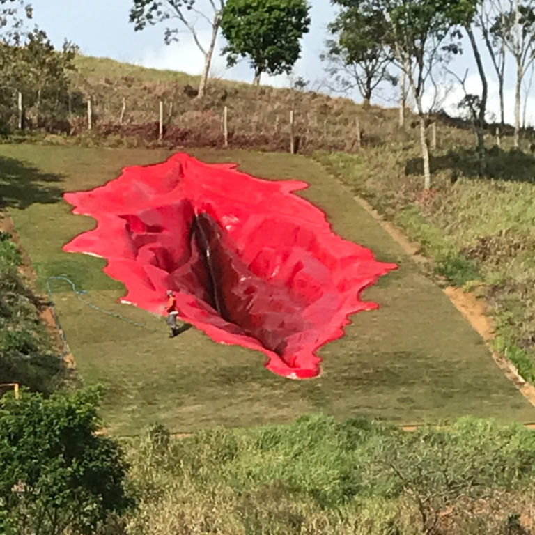 Enormous Vulva Sculpture in Brazil Sparks Conservative Outrage » Design