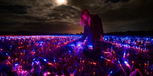 Thousands of Colored LEDs Turn Dutch Farmland Into Nighttime Wonderland