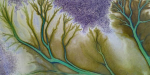 Photographer Derry Moroney Captures Breathtaking Aerial “Tree Of Life” Photos Of A Receding Lake