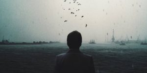 The Daily Adventures of a Strange Soul
