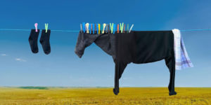 Household Surrealism: Artist Helga Stentzel Uses Common Household Items to Create Surreal Forms