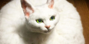 Felt Artist’s Terrifyingly Real Roomba Cat Creation Glides and Meows when Summoned
