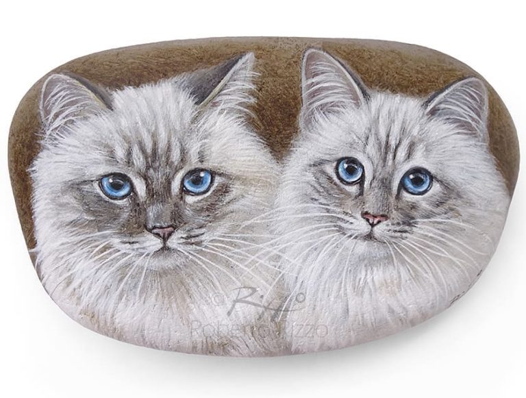 Italian Artist Roberto Rizzo Turns Rocks Into Incredible Animal ...