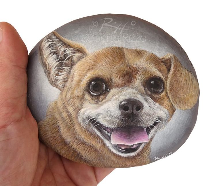 Italian Artist Roberto Rizzo Turns Rocks Into Incredible Animal ...