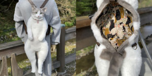 Cat Backpack That Looks Like a Real Live Cat