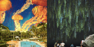 Watching the Tides Roll Away: The Unique Upside Down Universe of Irie Wata