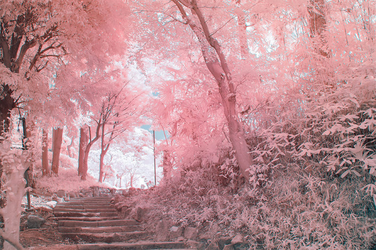 Japanese Photographer Captures Beautiful Dreamy Landscapes Of Kamakura 