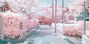 Japanese Photographer Captures Beautiful Dreamy Landscapes of Kamakura in Infrared