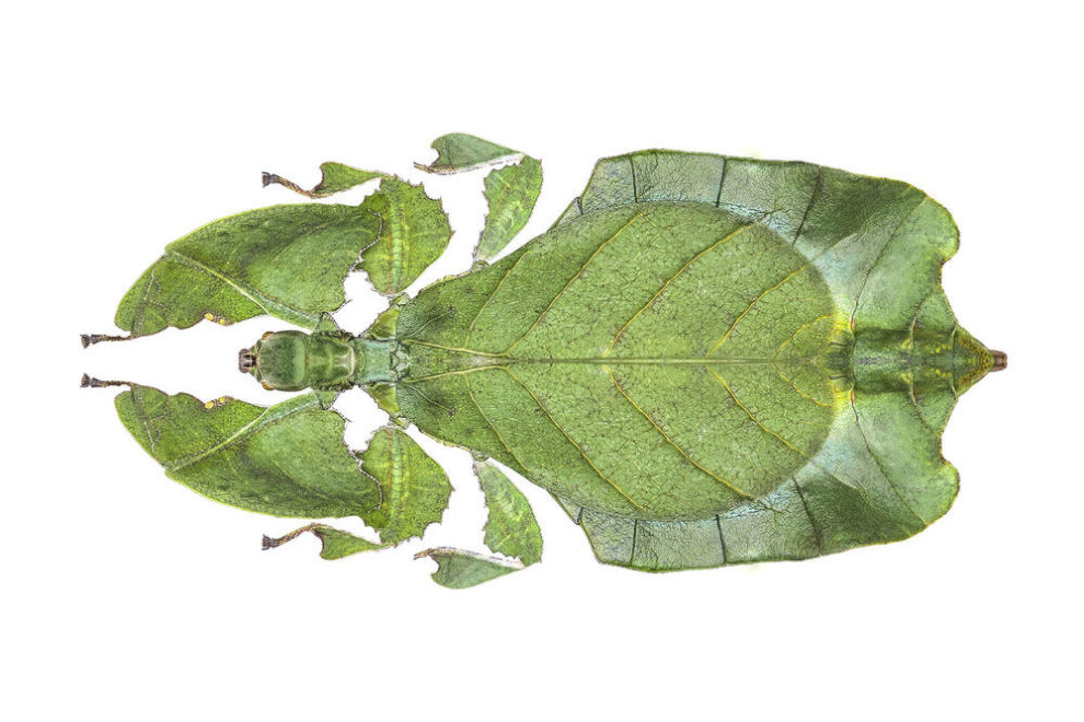 30 Inspiring Photos From One Eyeland 2020 Awards » Design You Trust