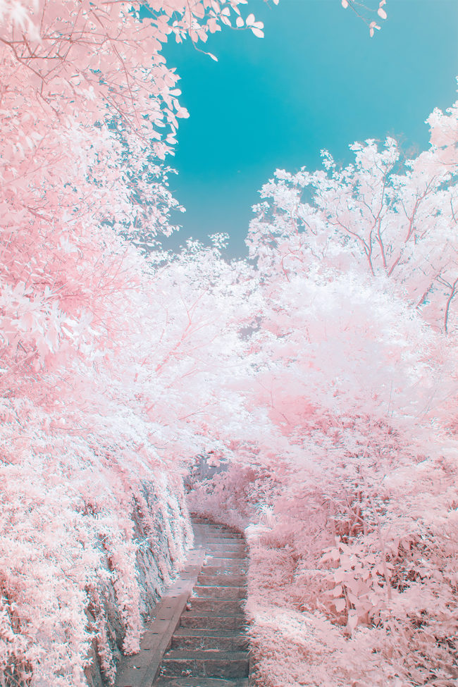 Japanese Photographer Captures Beautiful Dreamy Landscapes of Kamakura ...