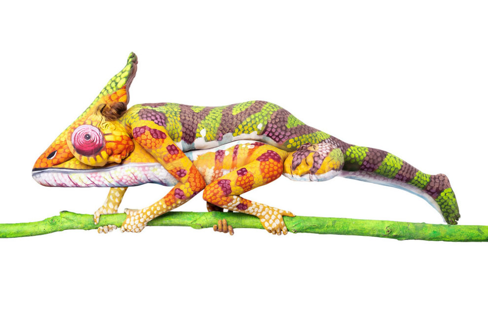 30 Inspiring Photos From One Eyeland 2020 Awards » Design You Trust